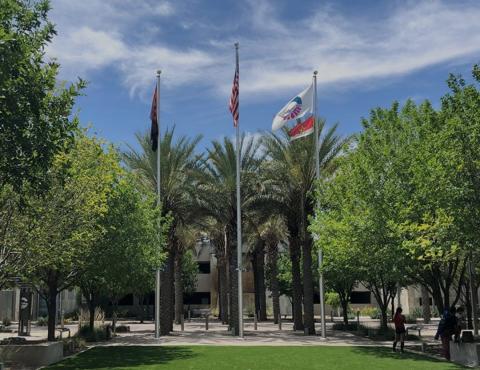Flags at Chandler City Hall