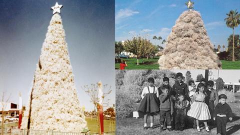 Historical photos of Chandler's Tumbleweed Christmas Tree
