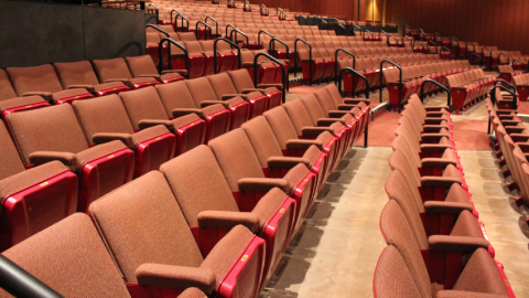 Rows of mauve theater seats at Chandler Center for the Arts