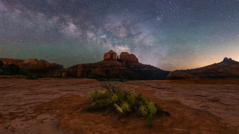 A prickly pear cactus in the foreground surrounded by desert. Cathedral Rock is on the horizon under a sky at dusk littered with stars.