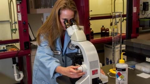 technician-using-microscope