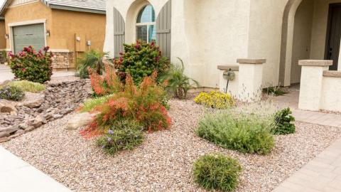 Xeriscape front yard