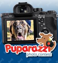 Woofstock Puparazzi Contest