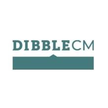 Dibble CM Engineering