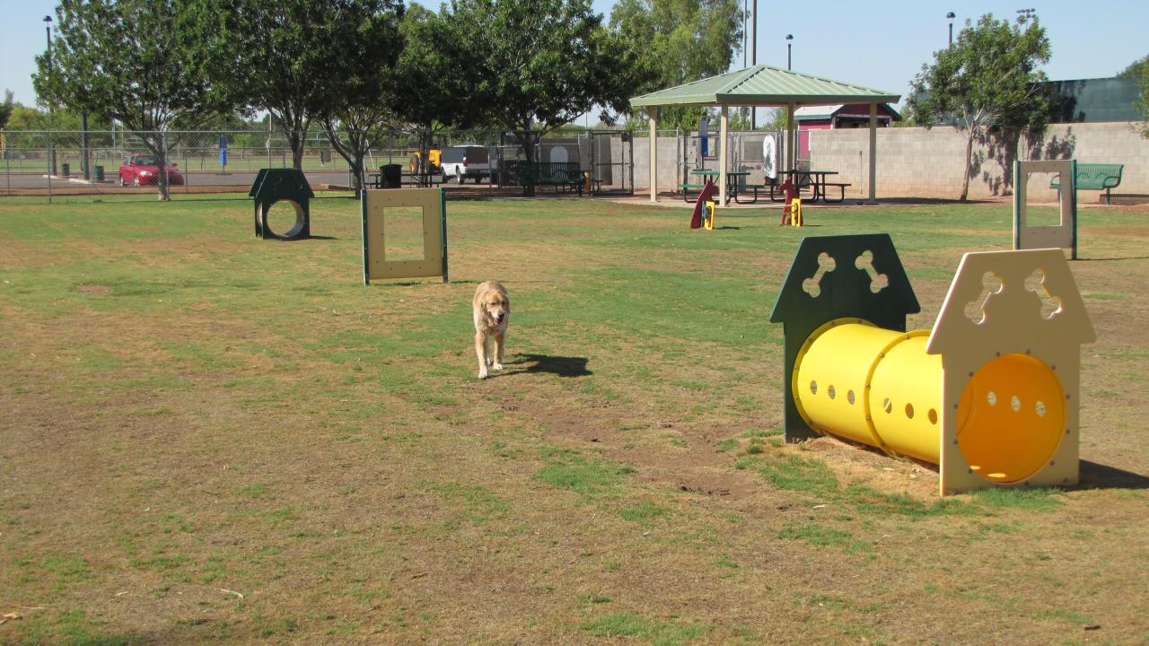Dog Park At Snedigar Park