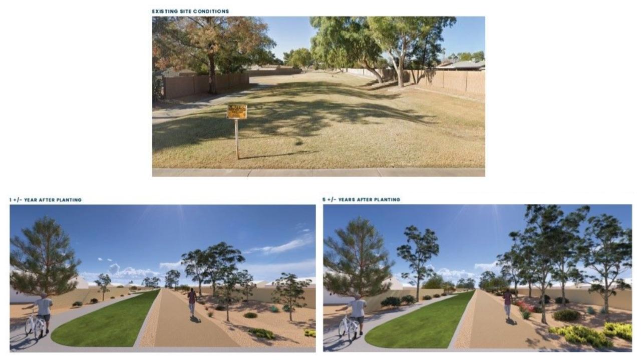 Site 416B: Oak Street & Folley Street | Projected Plant Growth Year 1 and 5
