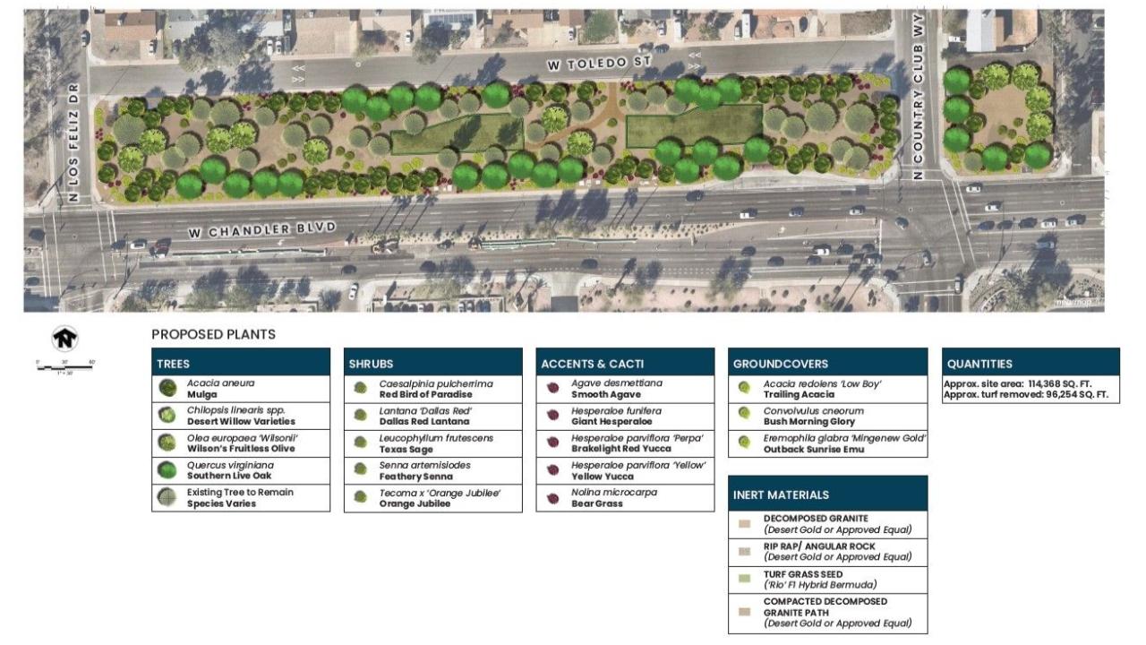 Site 418B: Chandler Boulevard and Country Club Way  | Plant Legend