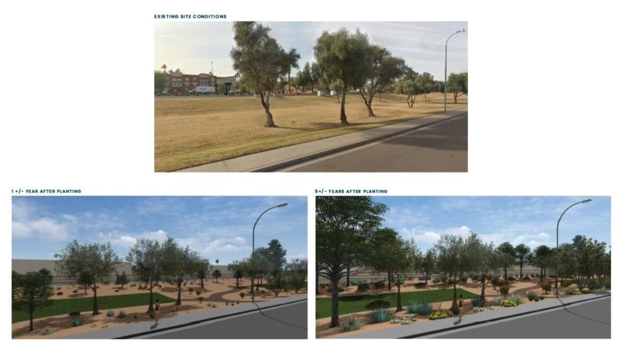 Site 418B: Chandler Boulevard and Country Club Way | Projected Plant Growth Year 1 and 5