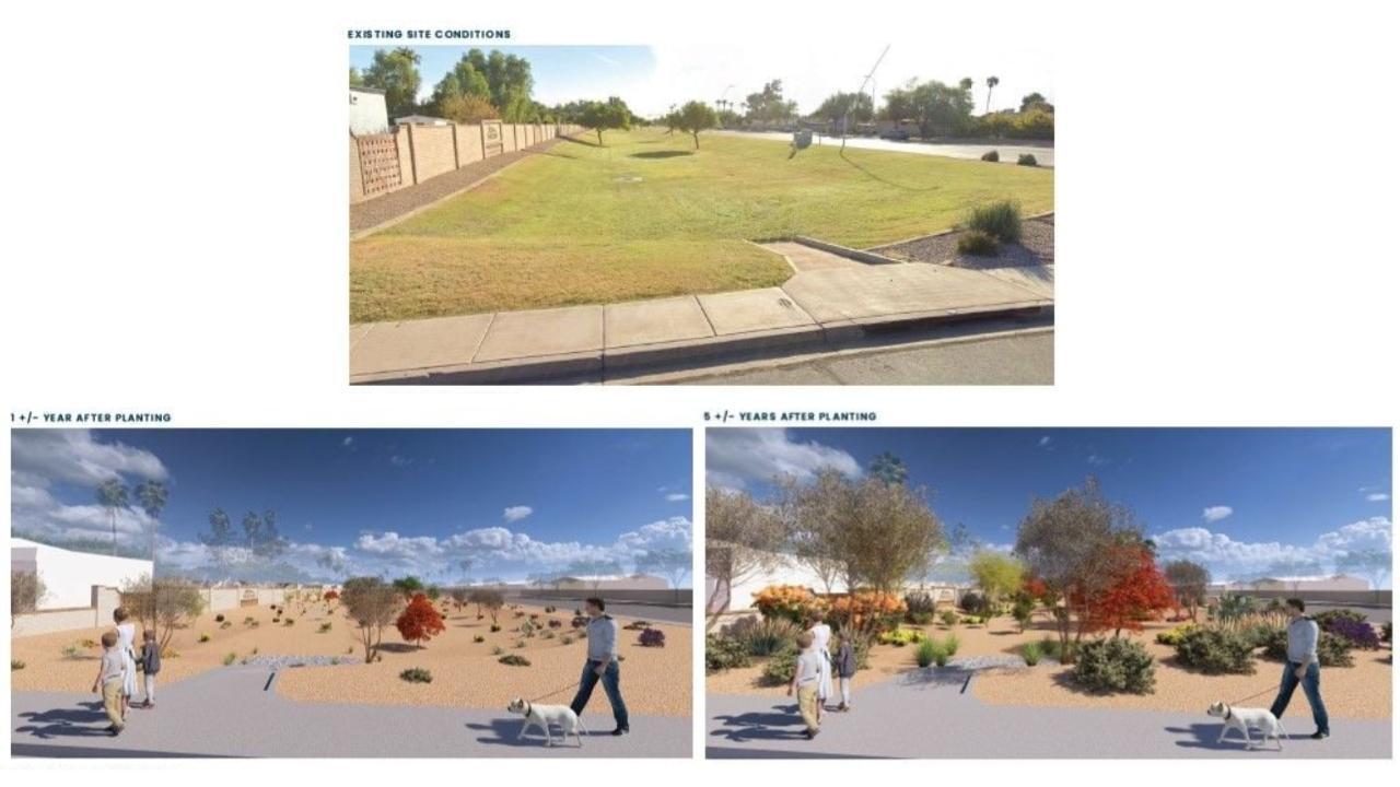 Site 107: Elliot Road & Summit Place | Projected Plant Growth Year 1 and 5