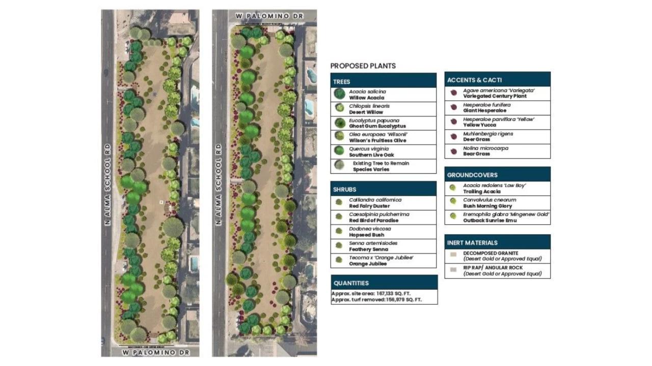 Site 108: Alma School & Palomino Drive  | Plant Legend