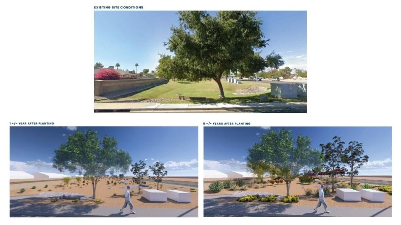 Site 119: Warner Road & Pennington Drive | Projected Plant Growth Year 1 and 5