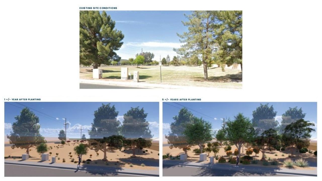 Site 416A: Kyrene Road & Chicago Street | Projected Plant Growth Year 1 and 5