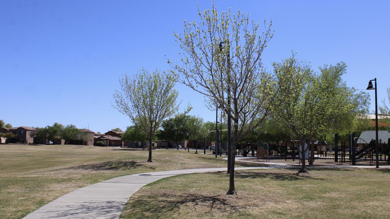 Sidewalk at Arbuckle Park