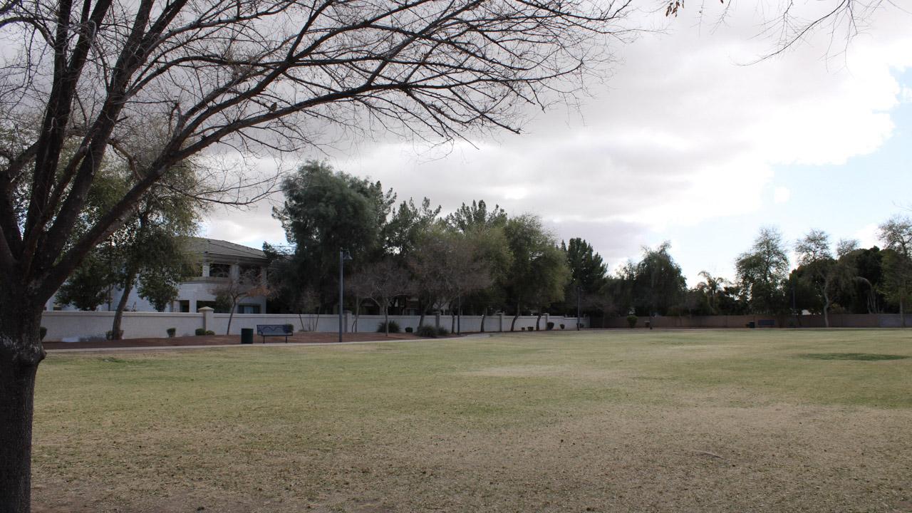 Field at Blue Heron Park