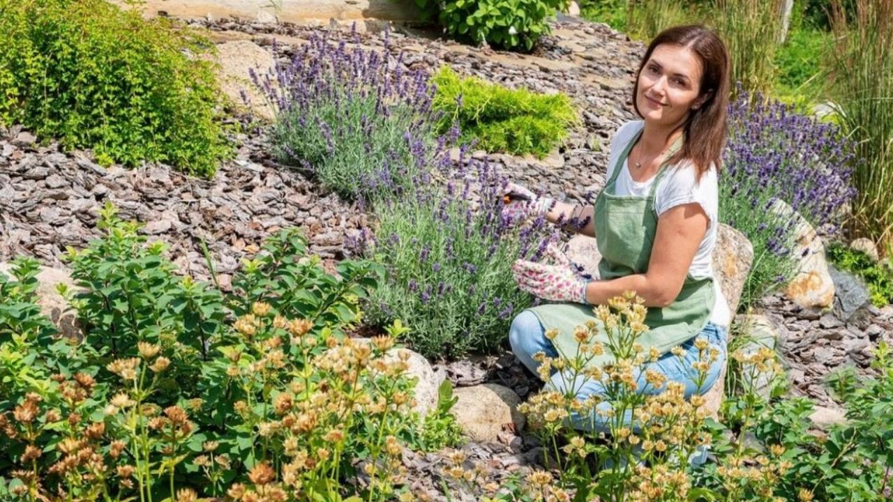 Certified Desert Landscaper