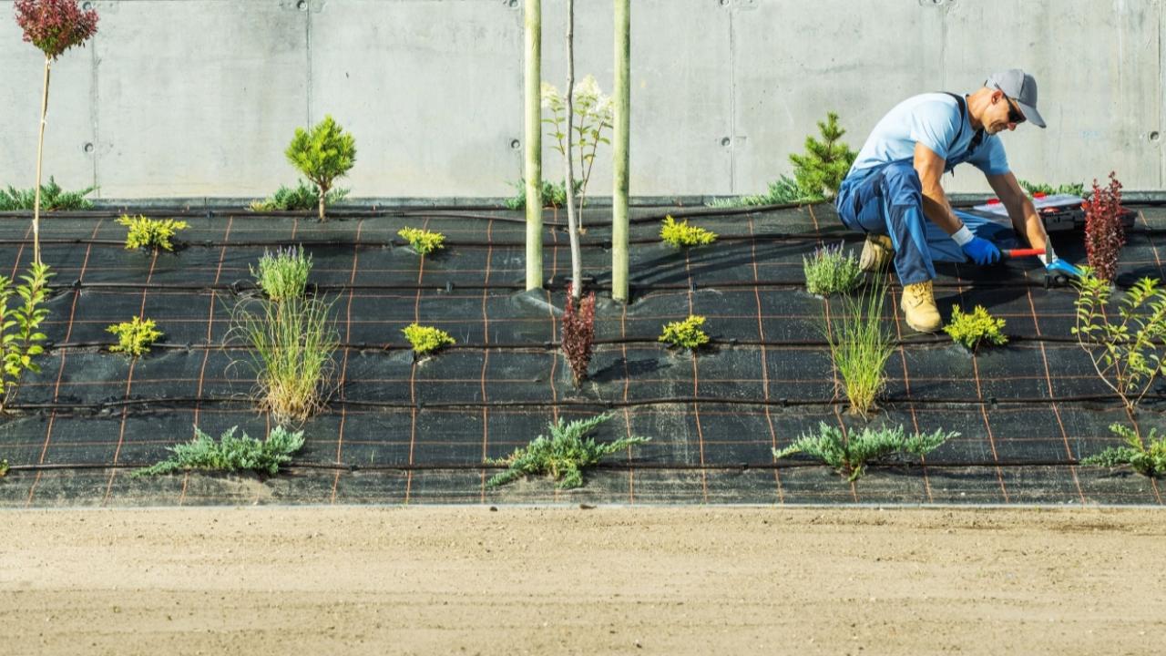 Certified Landscape Professional