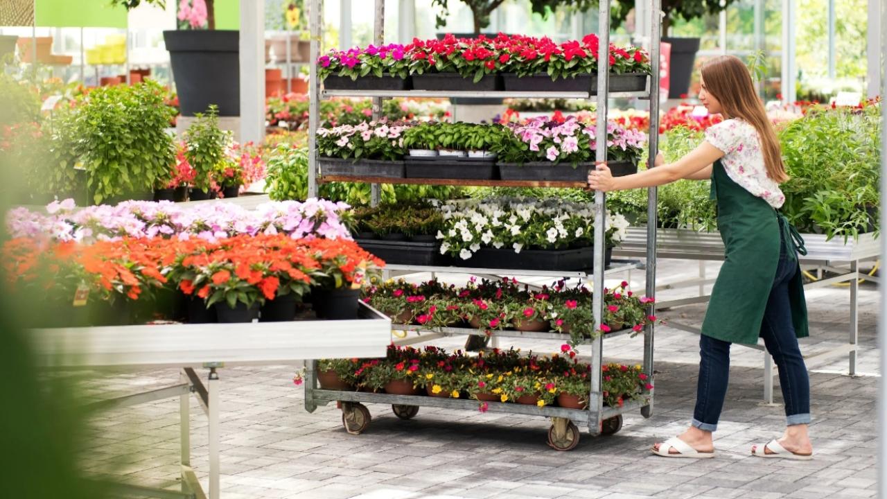 Certified Nursery Professional