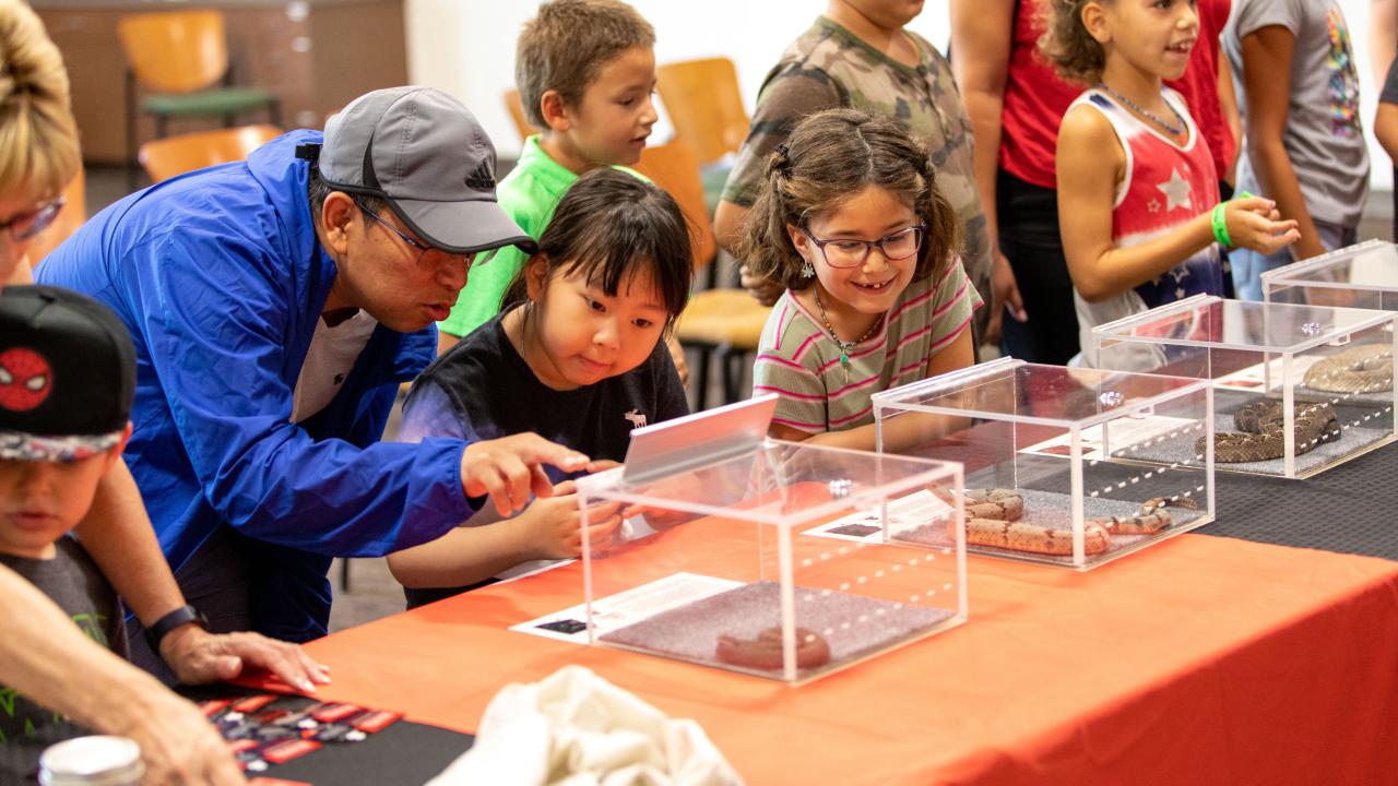 chandler nature center reptile class