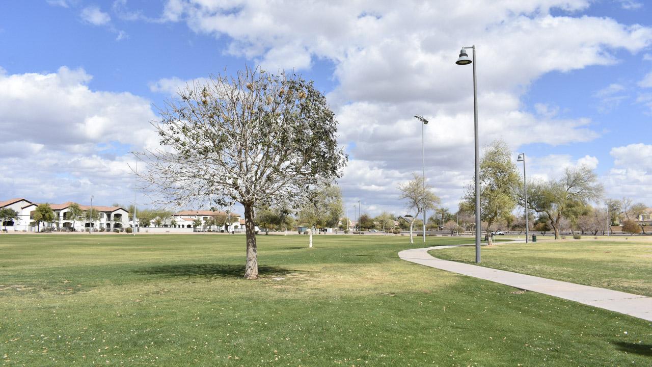 Walking trail at Chuparosa Park