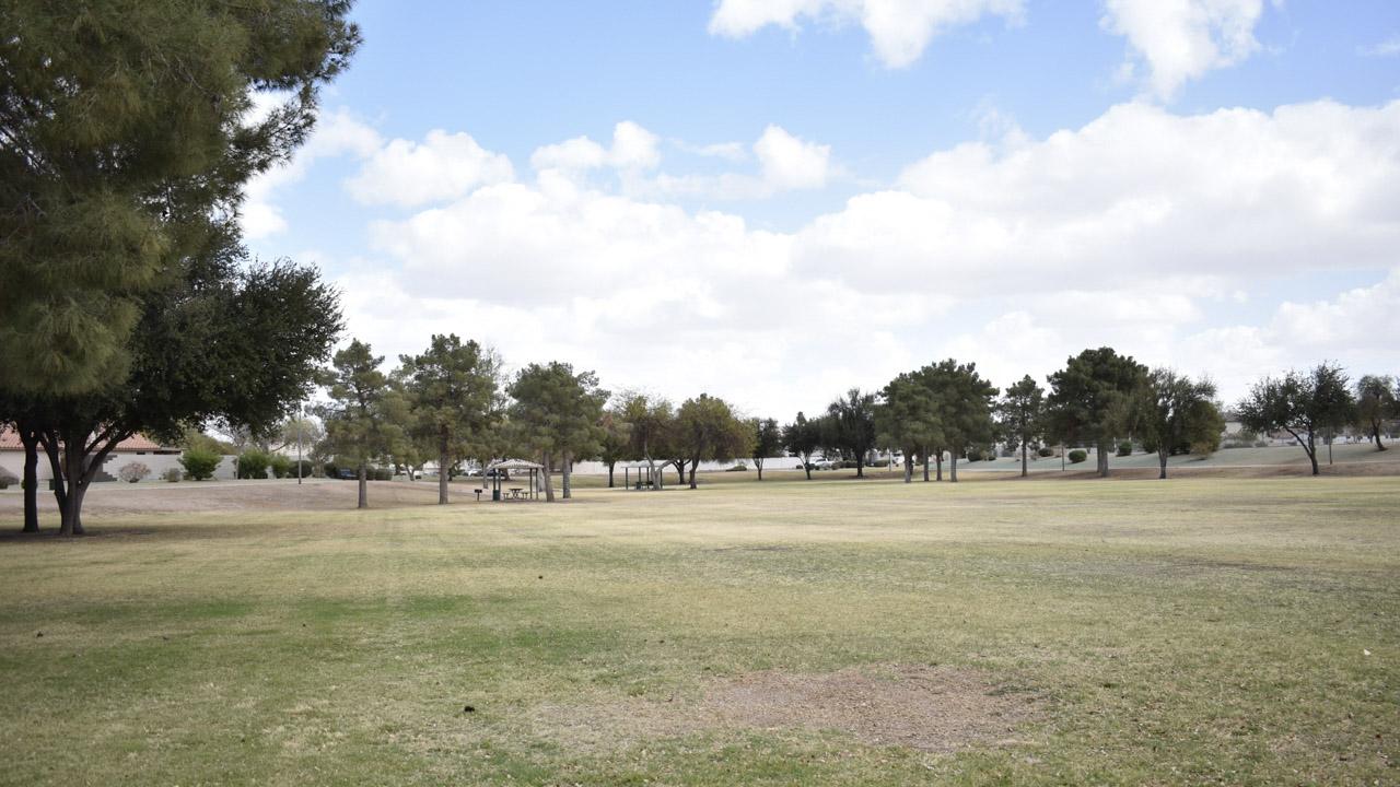 Field at Dobson Park