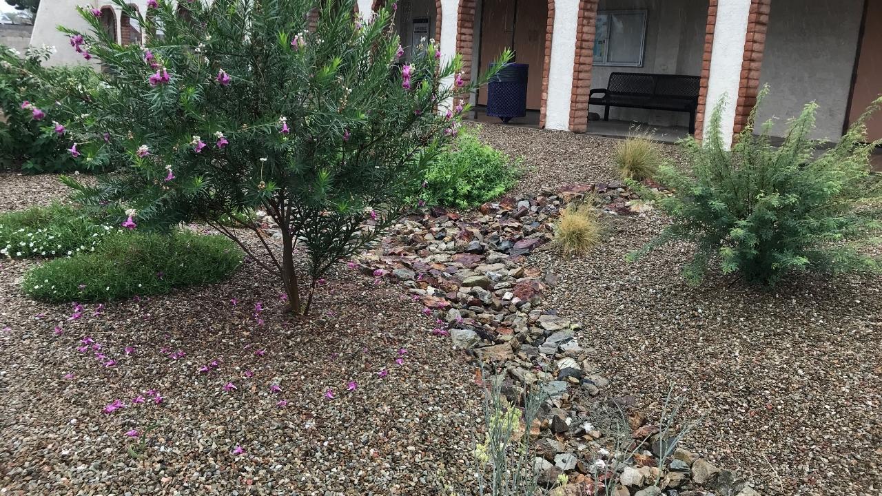 Glendale Rain Garden Rainwater Collection