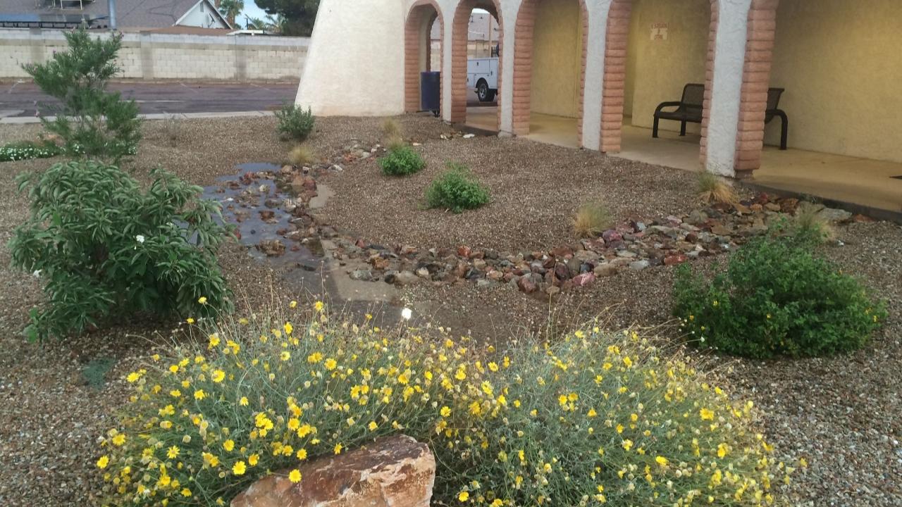 Glendale Rain Garden Slowing Water