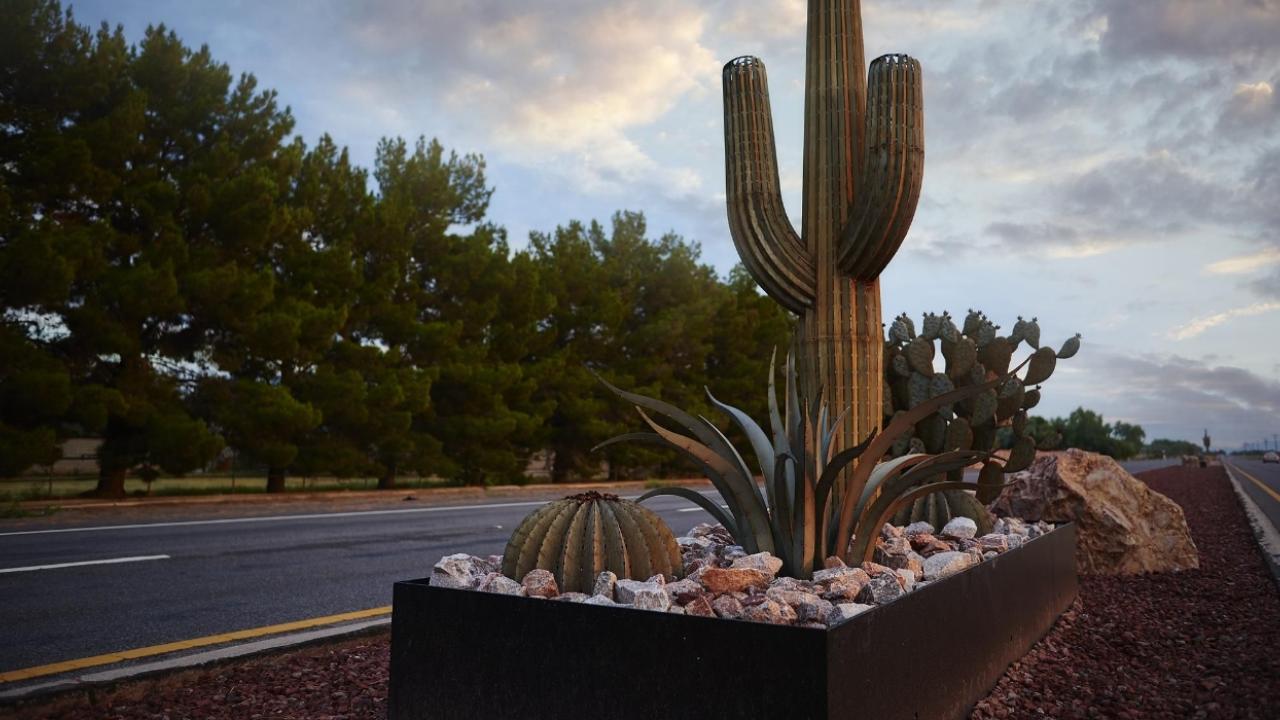 Landscape maintenance hardscape with a saguaro cactus display.