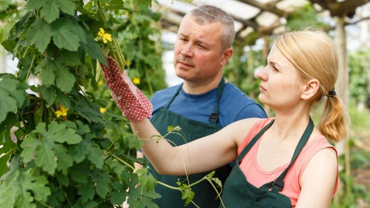 Horticulturist