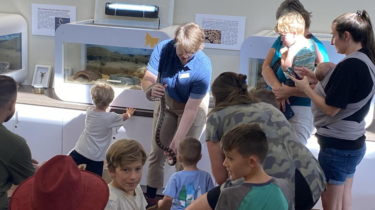 chandler nature center snake exhibit