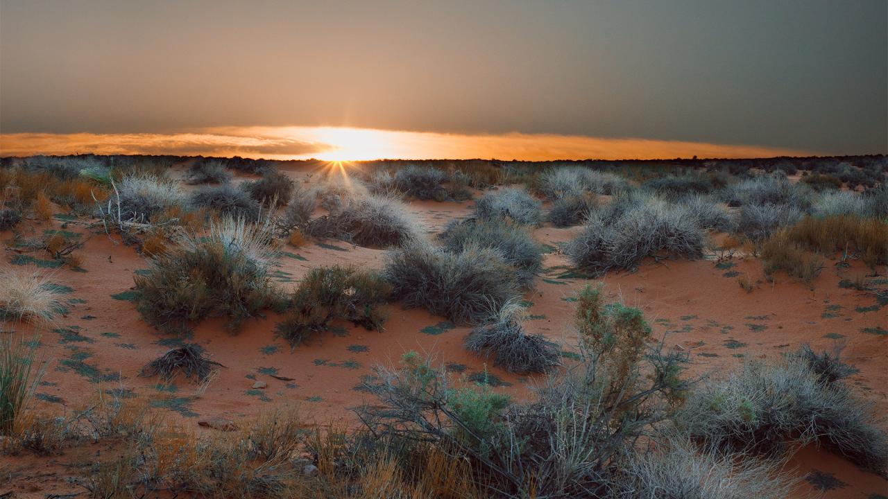 Second place Kara H northern arizona desert landscape