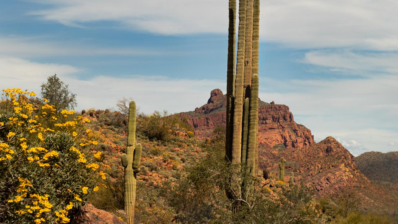 Second place Kara H spring in the desert 