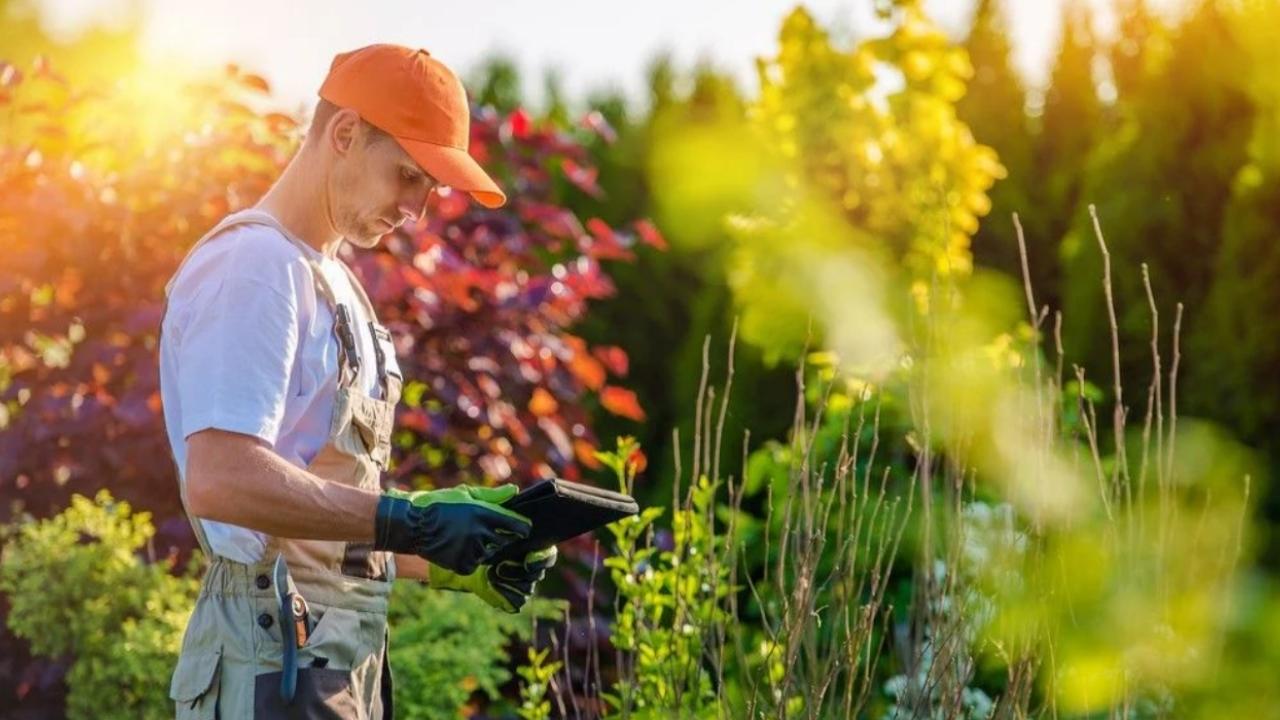 Landscape Contractor
