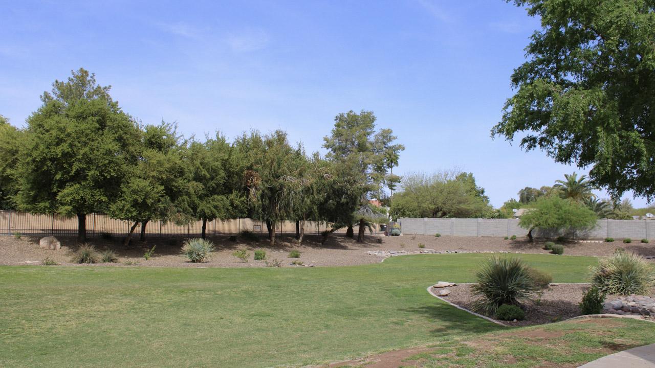 Field at Los Altos Park