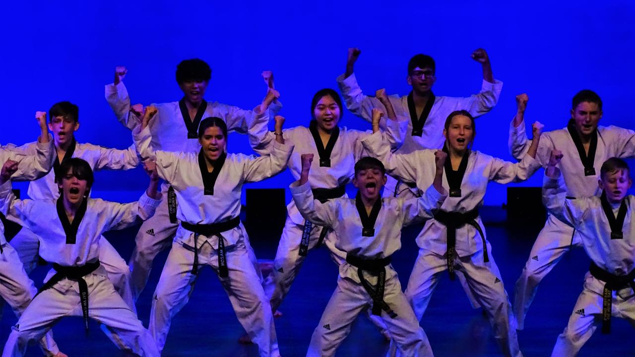 Martial Arts