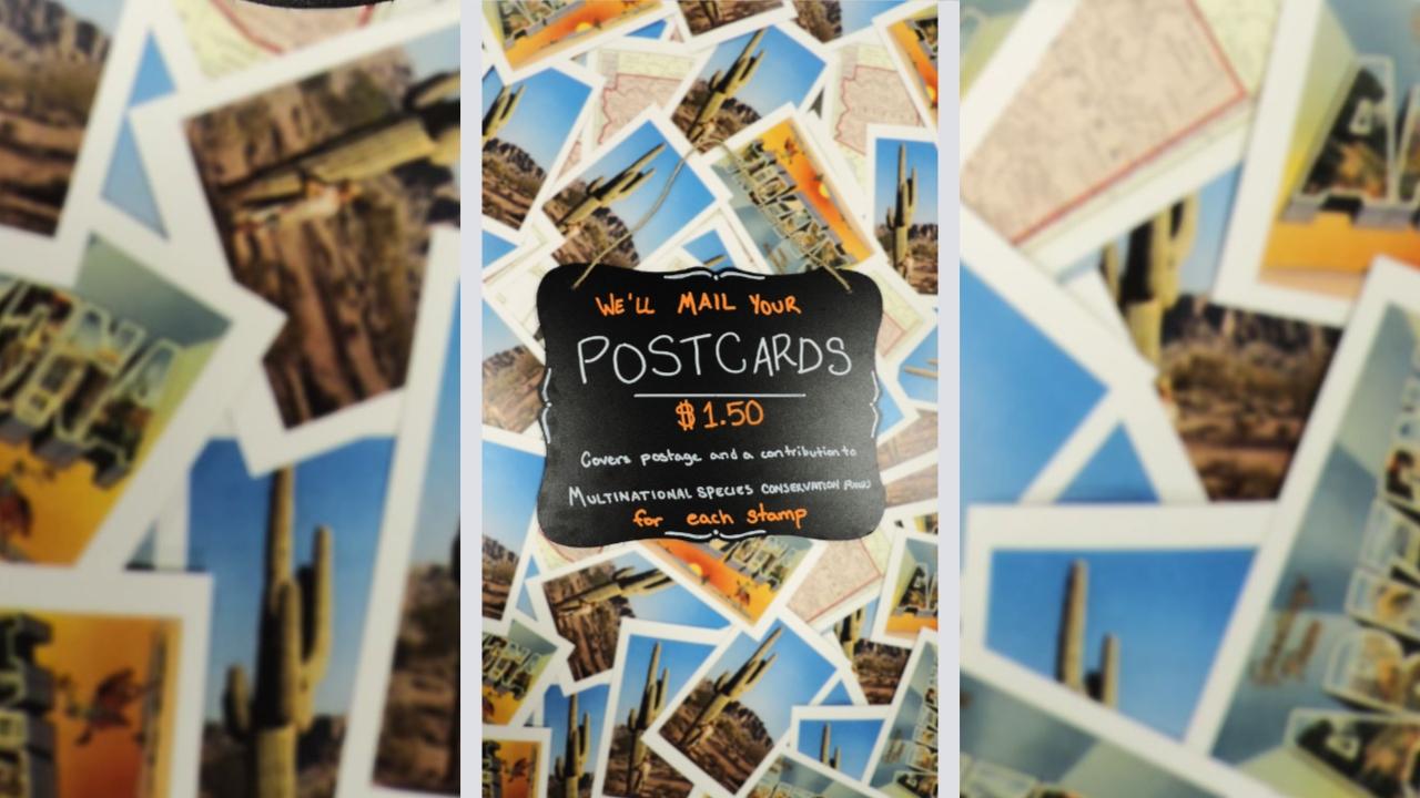 Postcards
