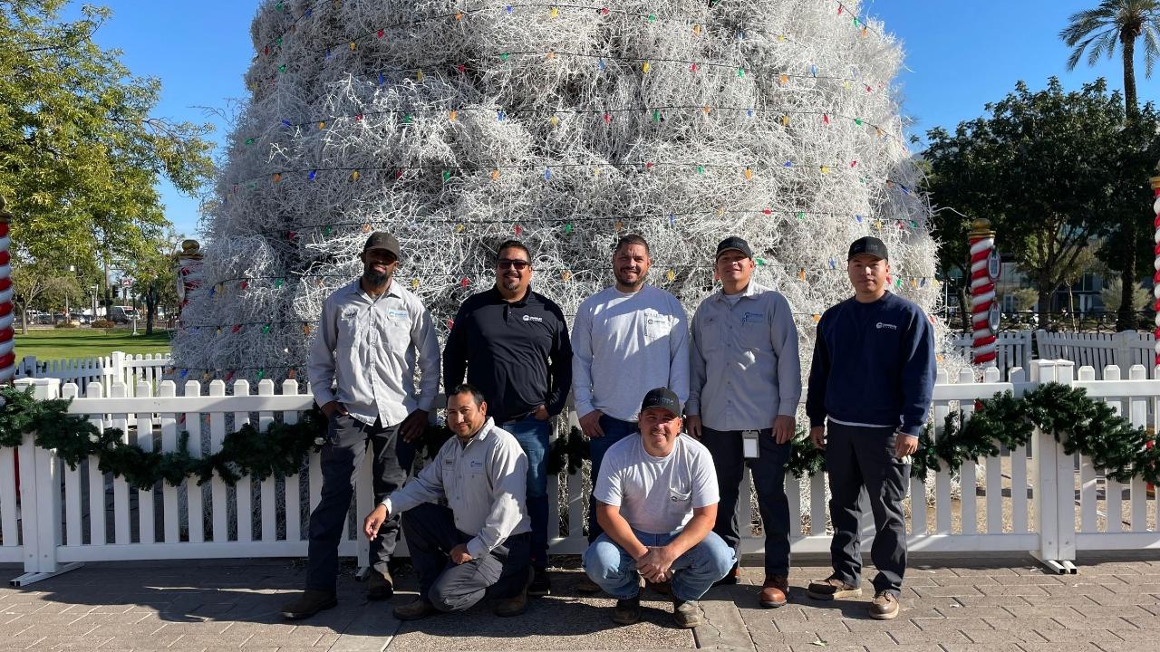 Parks Crew Brings Tumbleweed Tree to Life