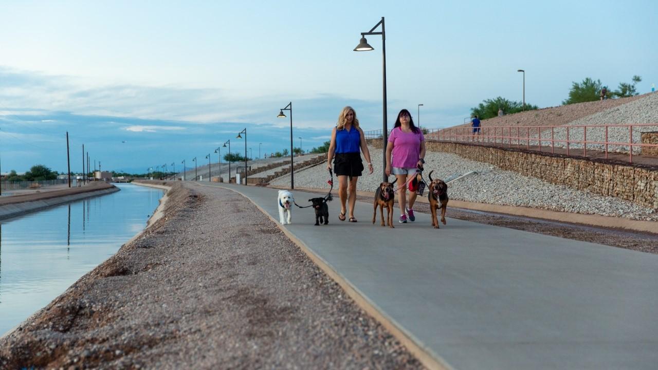 Two Women Walking Their Dogs On Paseo Trail Path