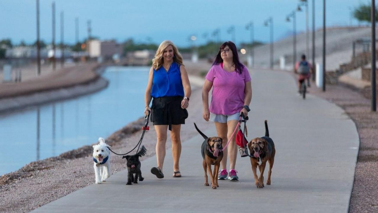 Improvements to expansion of shared use paths and trails, such as Paseo Trail