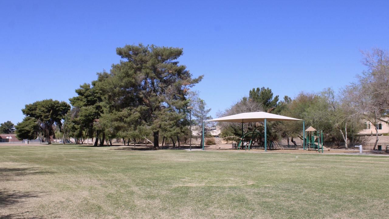 View of Pine Shadows Park