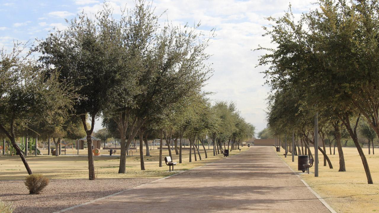 Walking trails at Roadrunner Park