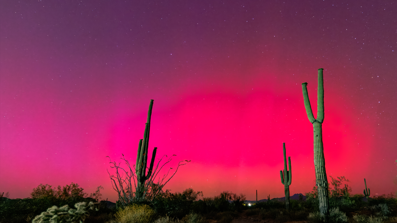 Sonoran desert at sunset