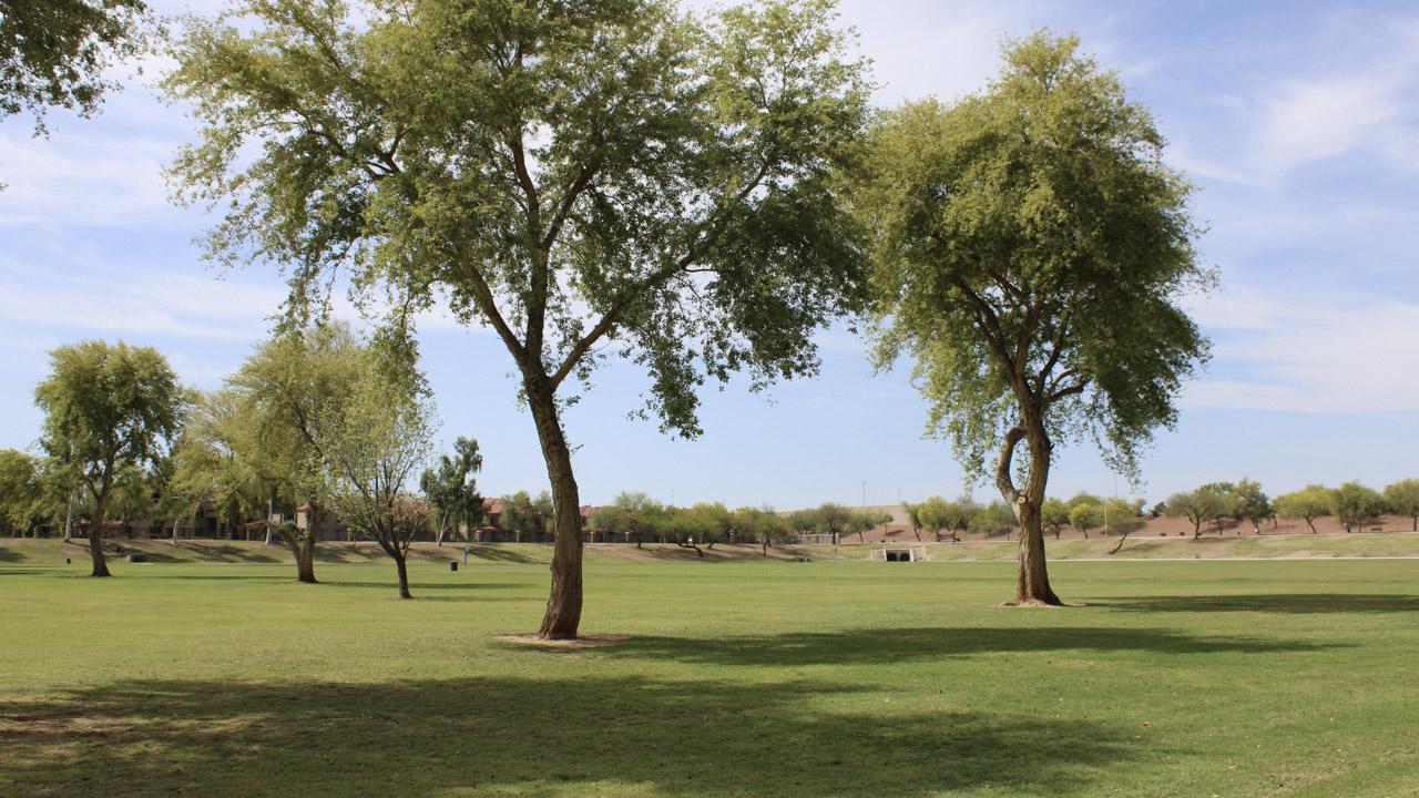 Open Grass Field At Thude Park