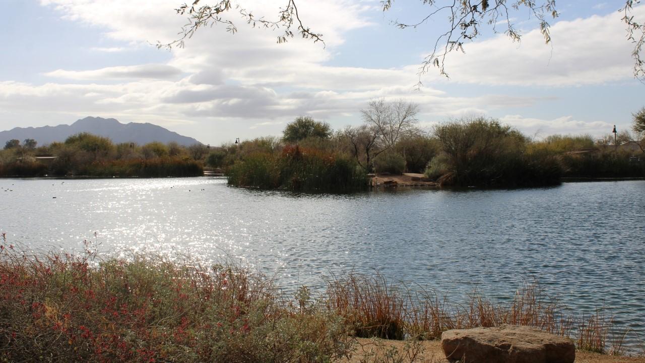 Community Fishing Lake At Veterans Oasis Park