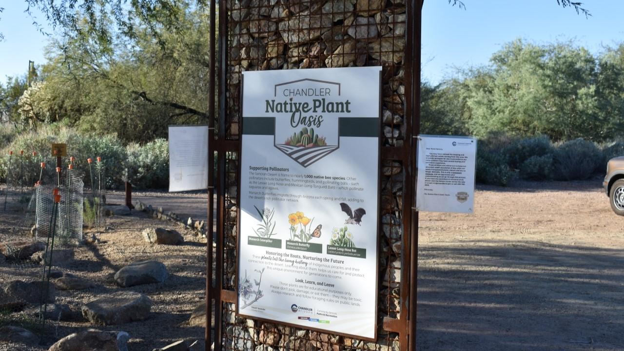 Native Plant Oasis At Veterans Oasis Park