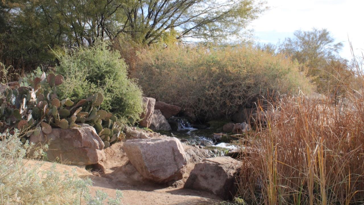 Waterfall At Veterans Oasis Park