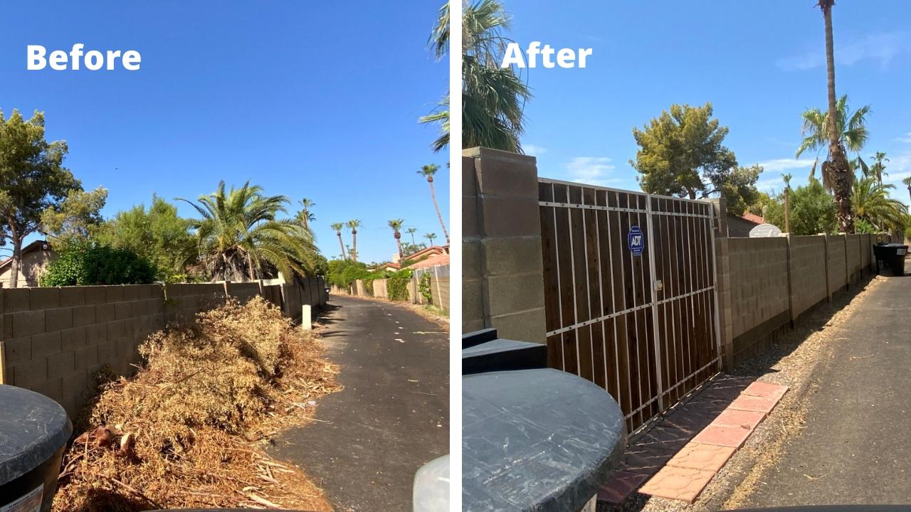 Debris in Alley: Before and After