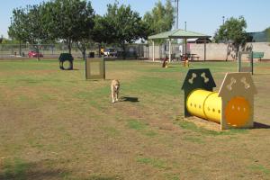 Dog Park At Snedigar Park