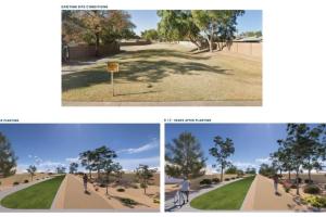 Site 416B: Oak Street & Folley Street | Projected Plant Growth Year 1 and 5