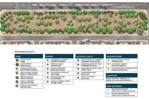 Site 418A: McClintock Drive & Galveston Street | Plant Legend