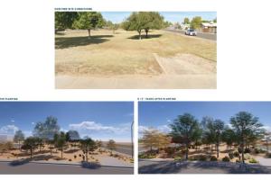 Site 418A: McClintock Drive & Galveston Street | Projected Plant Growth Year 1 and 5